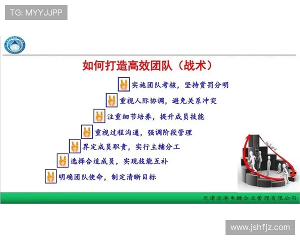 排球新手必看：轻松掌握团队协作技巧与实战经验分享