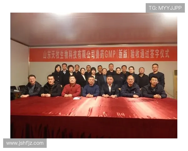 武汉篮球队的崛起之路联合会杯背后的奋斗与荣耀 武汉篮球队的崛起之路联合会杯背后的奋斗与荣耀