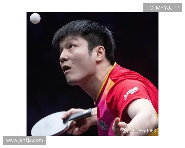 2017年樊振东在国际乒乓球赛中对阵日本选手的精彩表现回顾