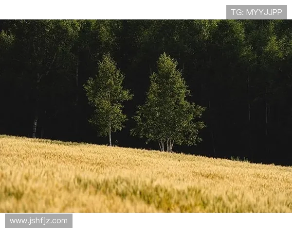 探索哈德森的魅力与历史深度，感受这座城市的独特风情与文化底蕴