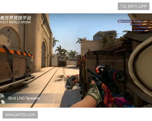 CSGO深度：解密LNG的反击